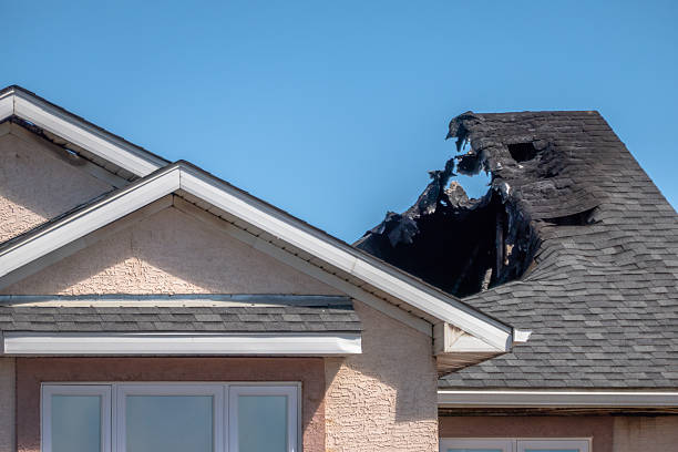 Top rated local Fire Damage Removal specialists in Haddonfield, NJ